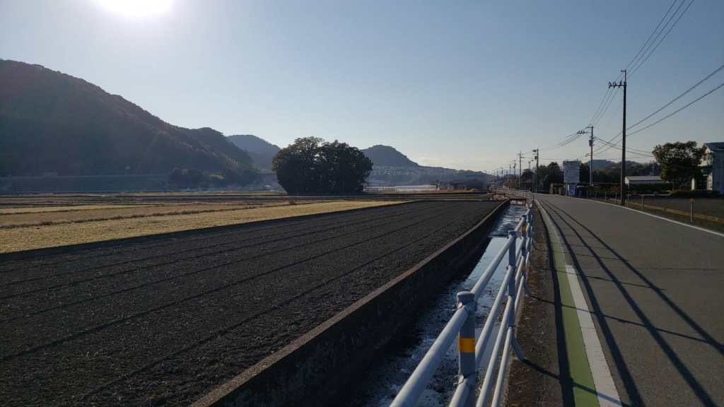 田園の中にブロッコリーのような小さな森。