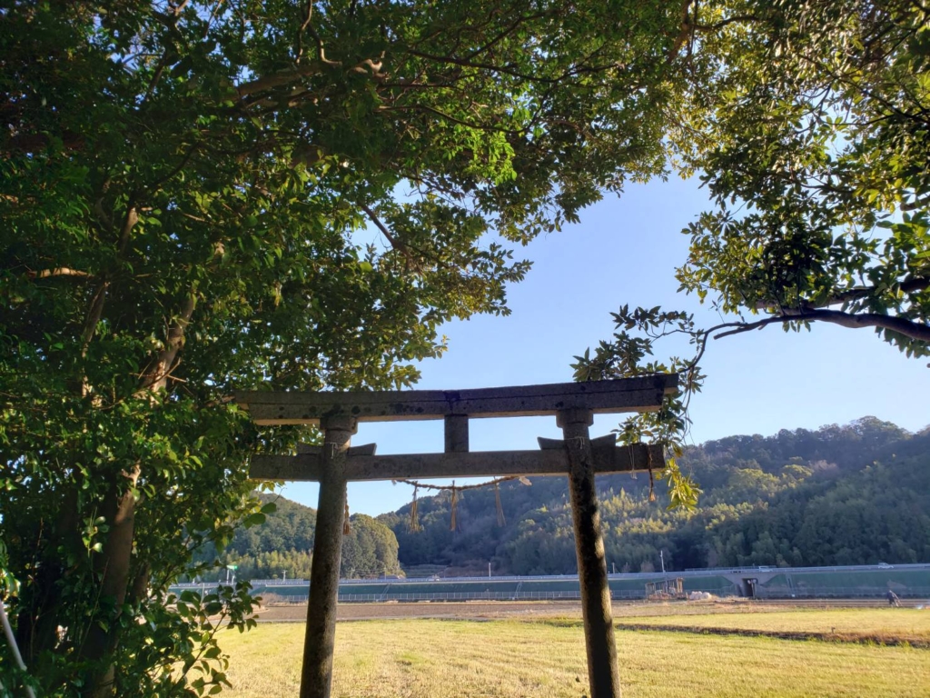 森の中から鳥居越しに見た景色